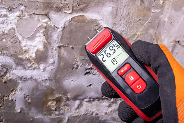 Best Mold Remediation for Specific Building Types in Pequot Lakes, MN