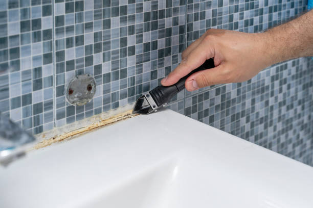 Best Basement Mold Remediation in Pequot Lakes, MN