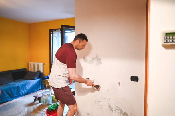Best Bathroom Mold Remediation in Pequot Lakes, MN